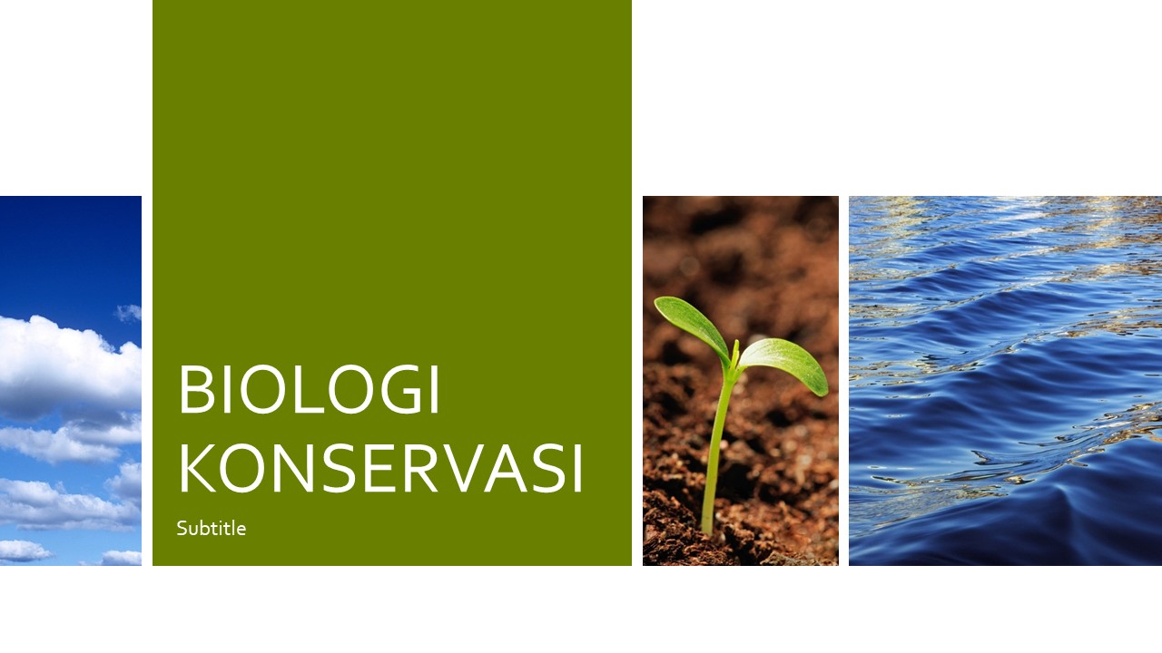 Biologi Konservasi B-D 